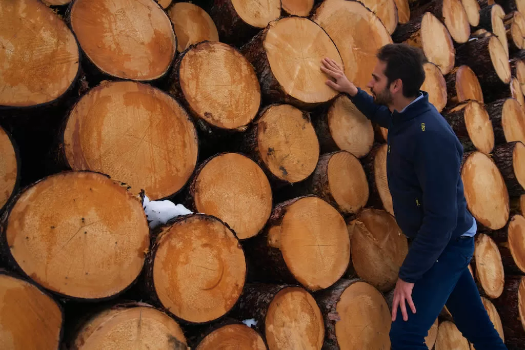 Excellent woods Excellent woods